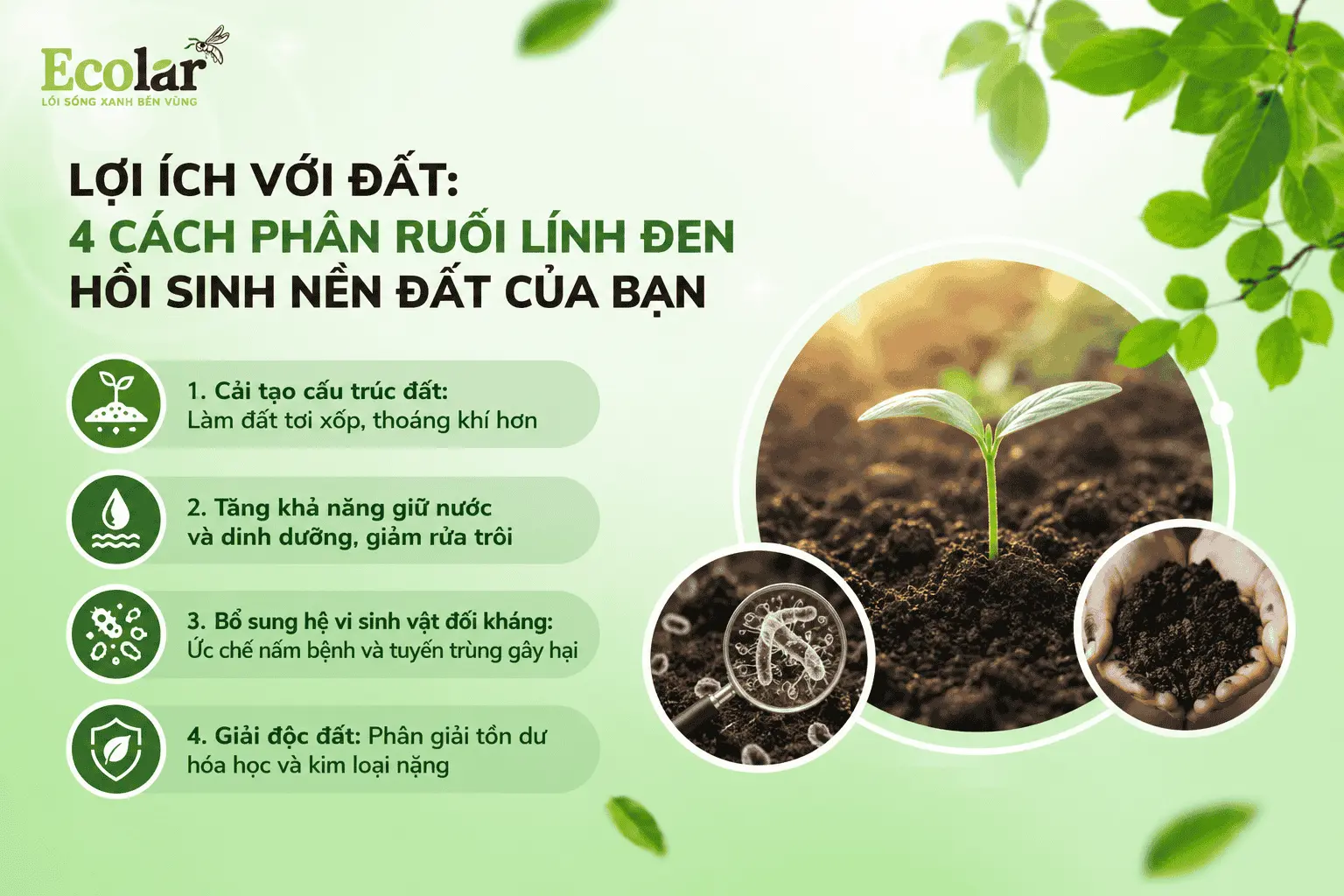 uoi-linh-den-hoi-sinh-nen-dat-cua-ban_38a880eb19bd4b8ea0c4c0a352ad075b.webp