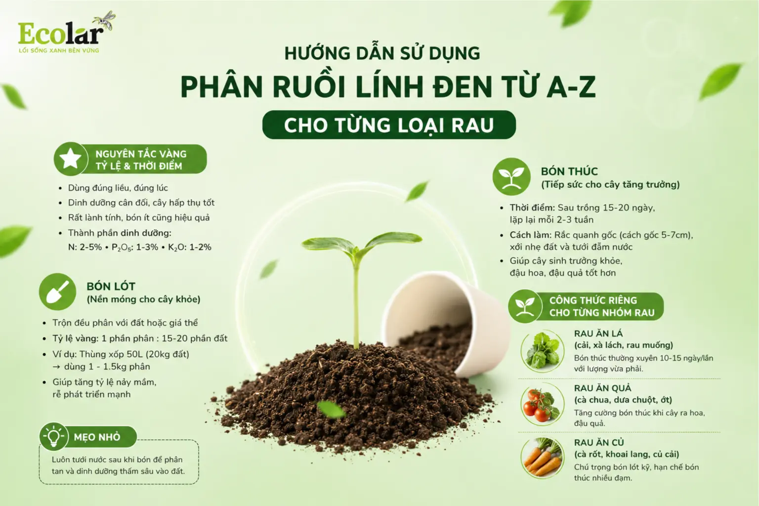 uoi-linh-den-tu-a-z-cho-tung-loai-rau_81f3080fa965431495445d9cce663be4.webp