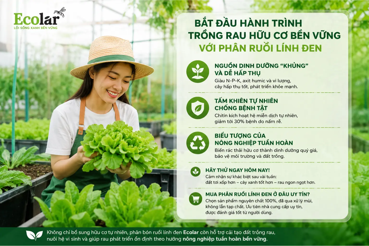uu-co-ben-vung-voi-phan-ruoi-linh-den_539ca58206b14b39a8ca15c70eae80d7.webp