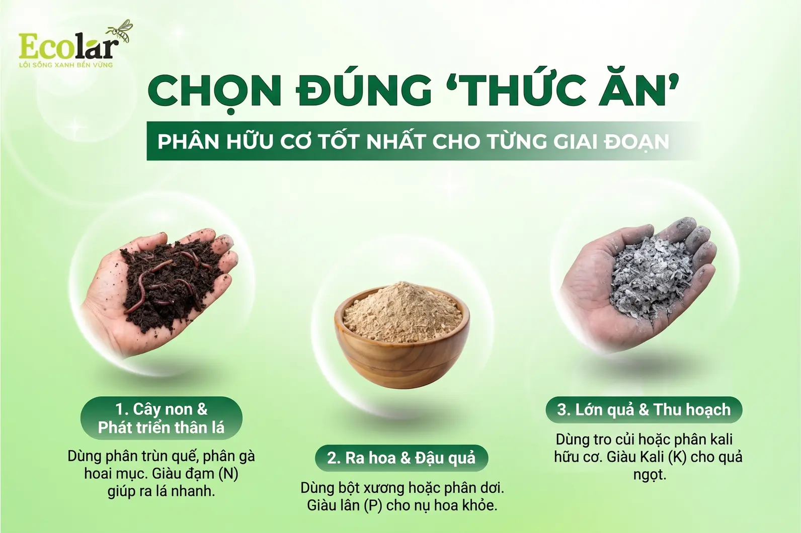 uu-co-nao-tot-nhat-cho-tung-giai-doan_3ee3486ea39e40f6a1c3476a3e42e21e.webp