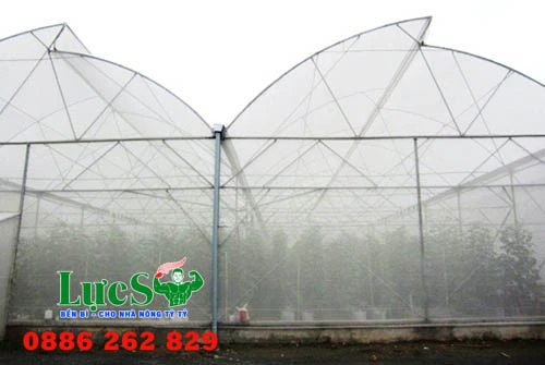 uu-diem-va-cach-lam-nha-luoi-don-gian-de-trong-rau (1).webp