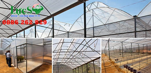 uu-diem-va-cach-lam-nha-luoi-don-gian-de-trong-rau (4).webp