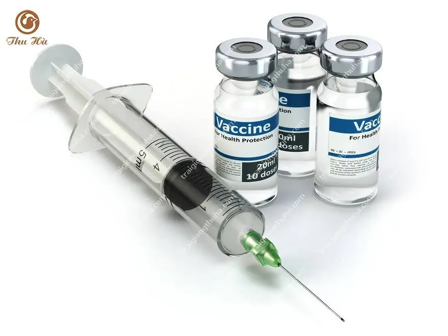 Hiểu Về VACCINE Cho Gia Súc – Gia Cầm