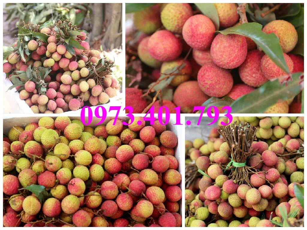 vải chín som_result.webp