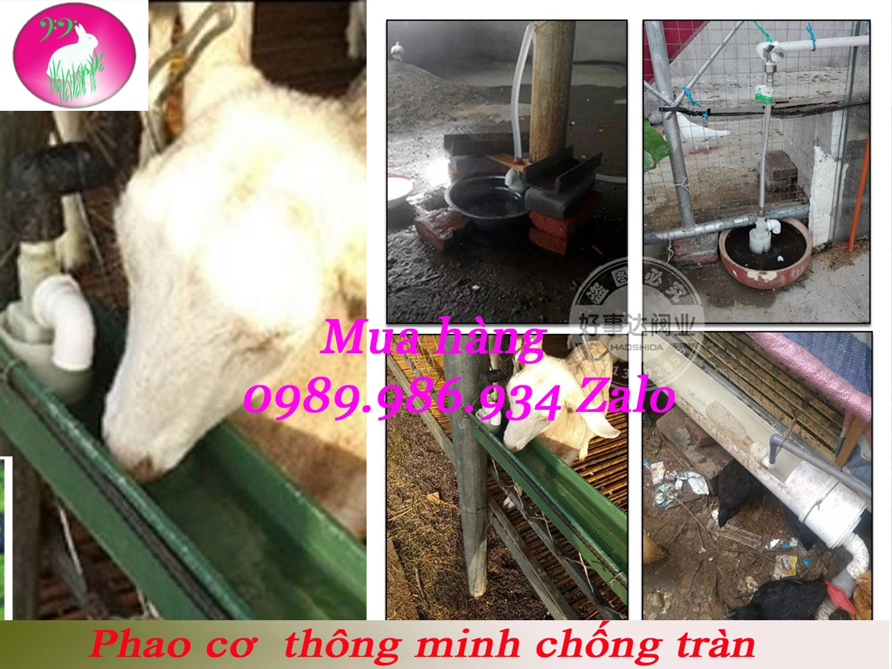 van phao chống tràn.webp