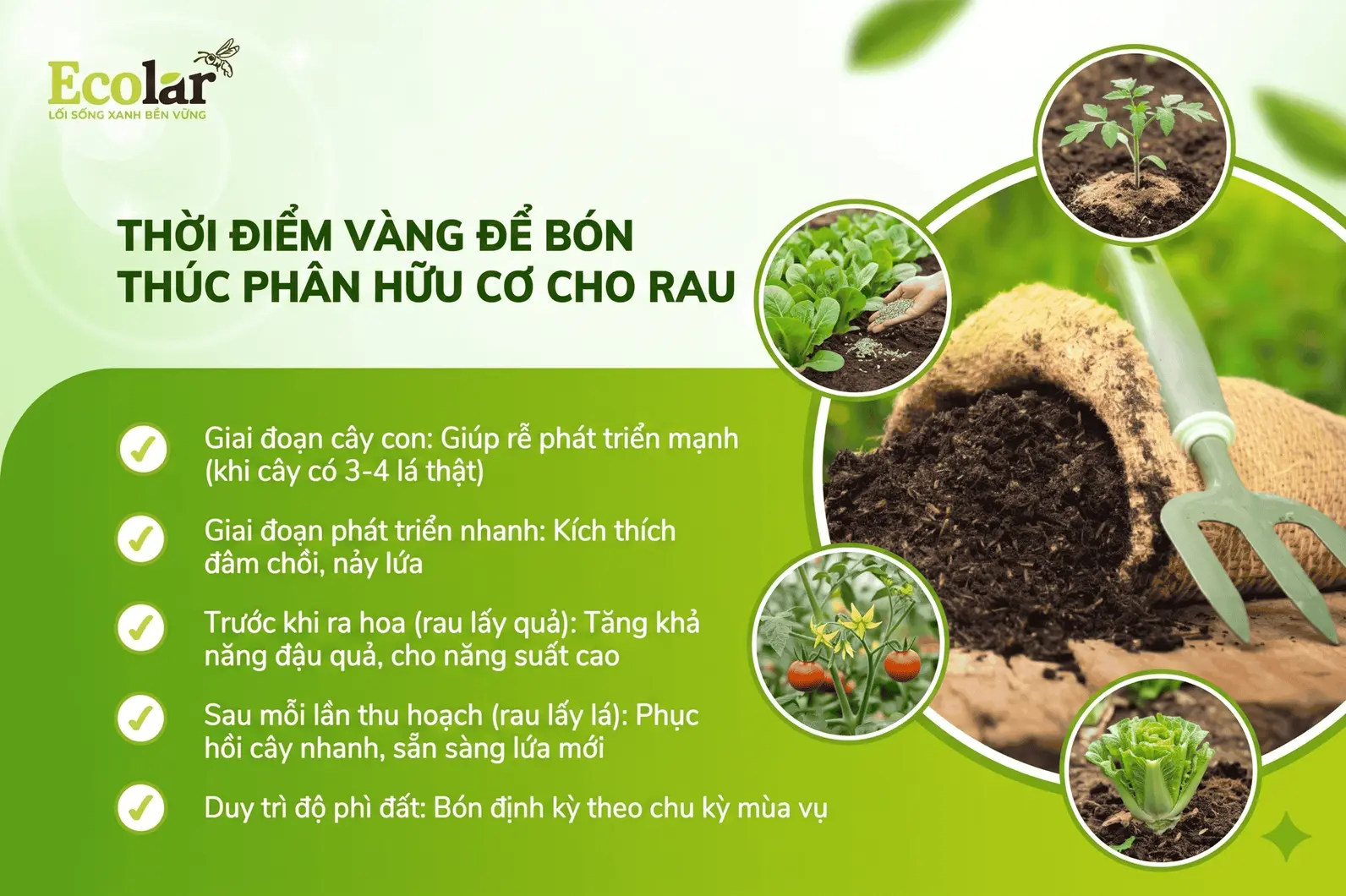 -vang-de-bon-thuc-phan-huu-co-cho-rau_d34127767f854d809c8341307175cafb.webp