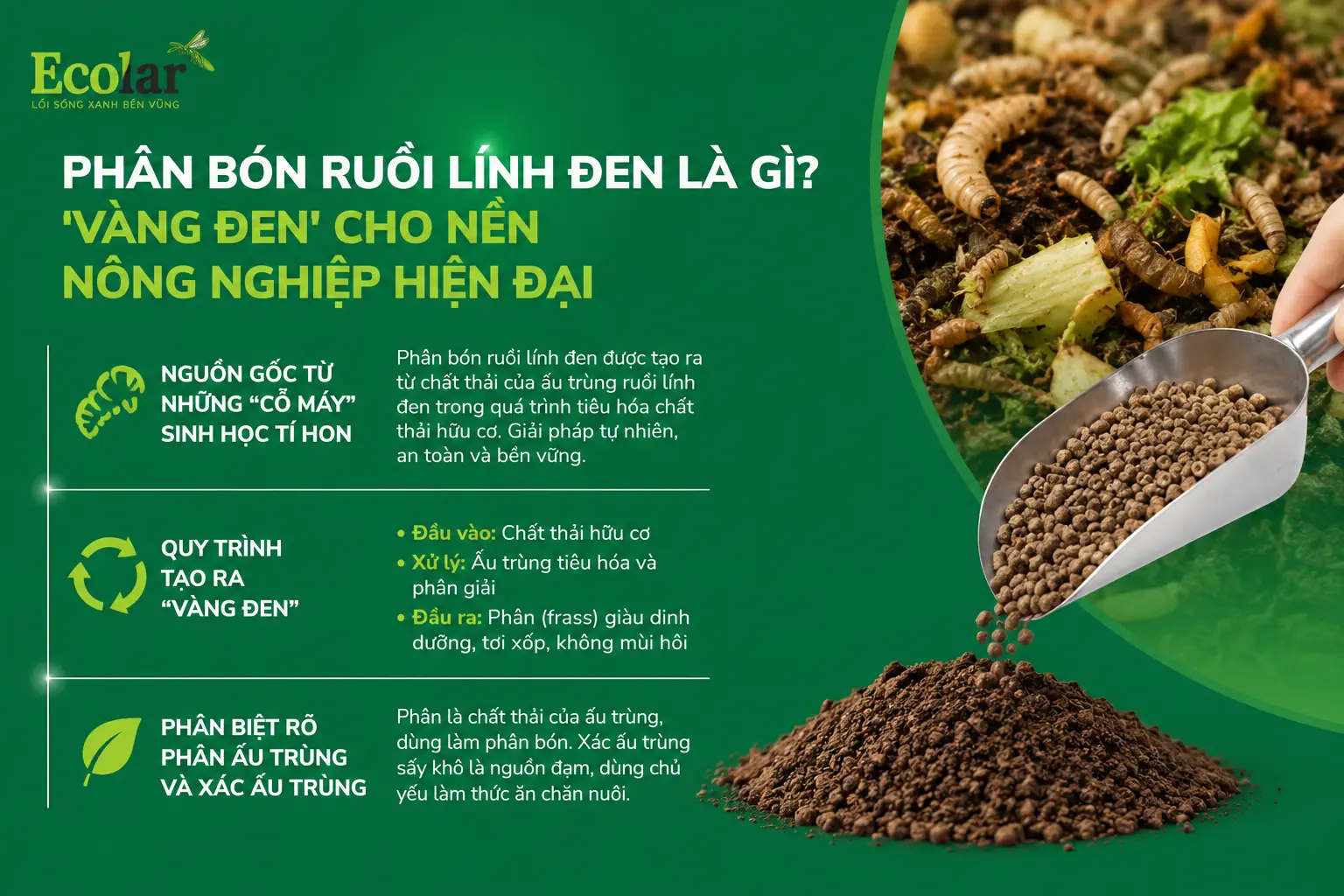 vang-den-cho-nen-nong-nghiep-hien-dai_5052fc8c961a4163b71841e9fdf30038.webp