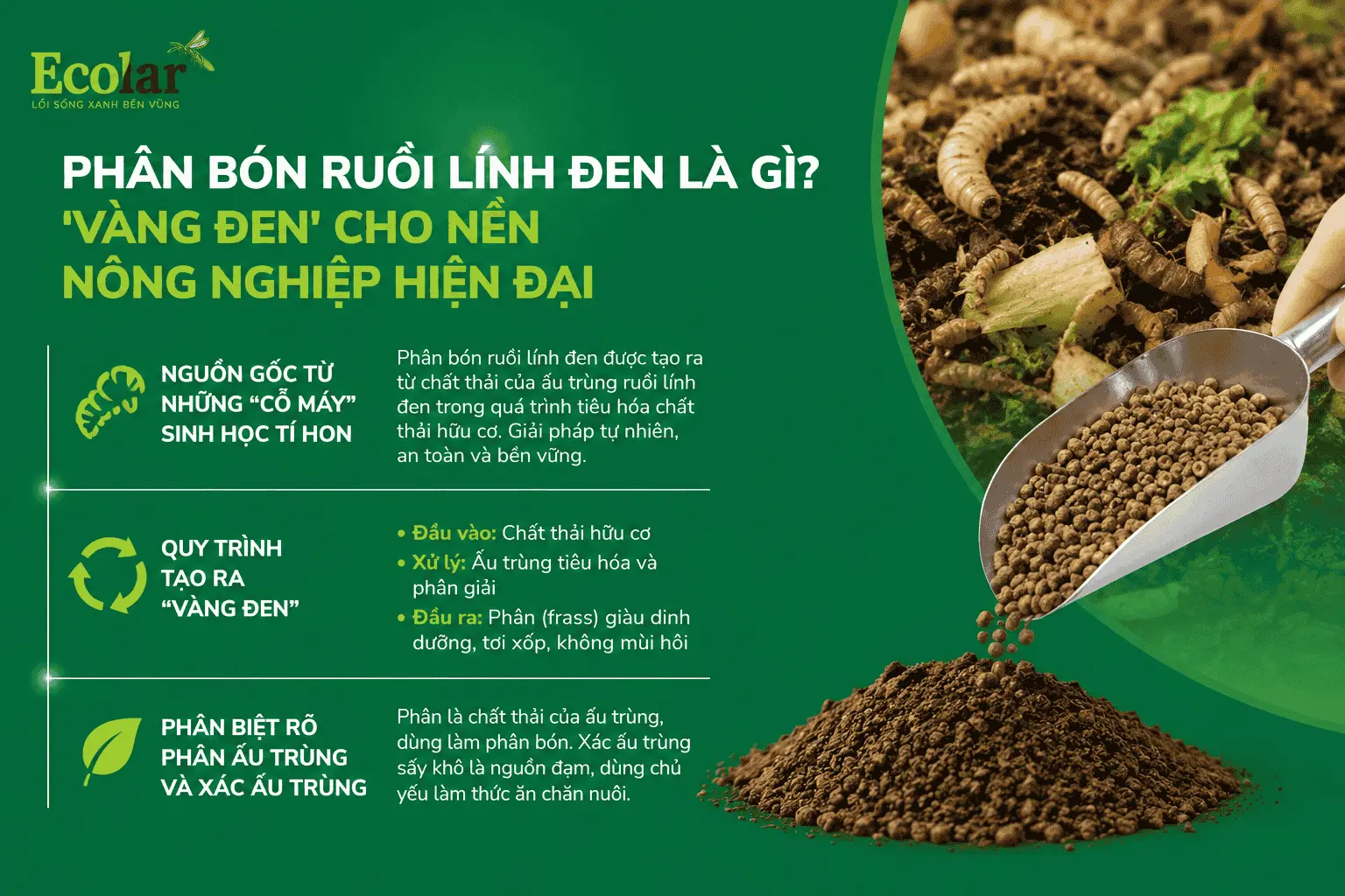 vang-den-cho-nen-nong-nghiep-hien-dai_5052fc8c961a4163b71841e9fdf30038.webp
