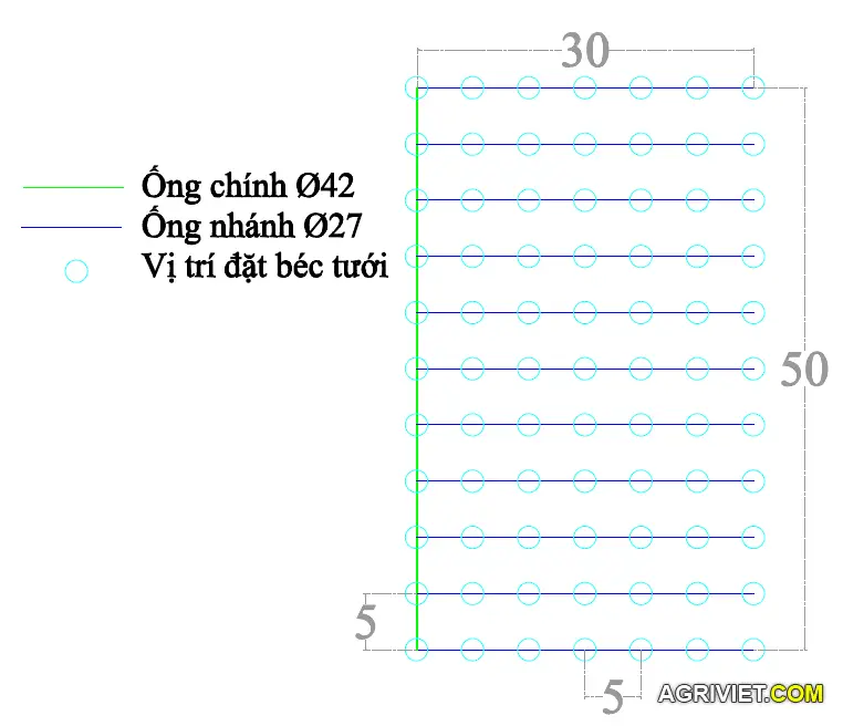 vẽ 30x50, chưa đầy đủ.webp