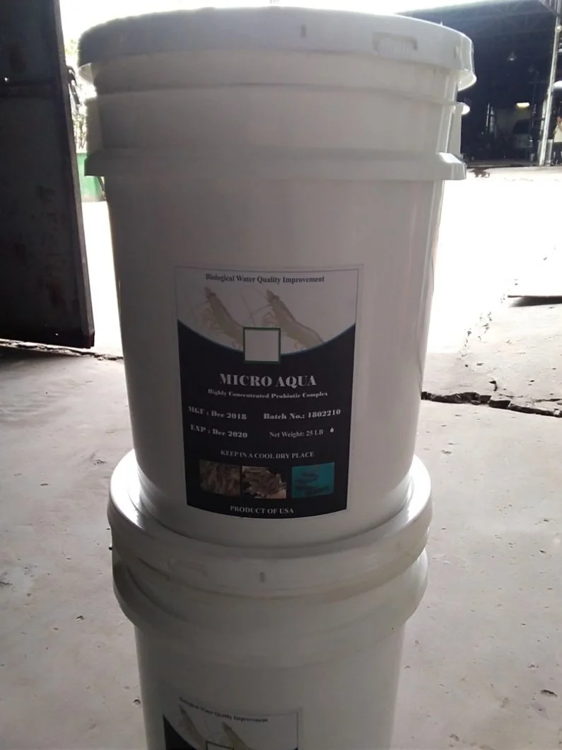 ^^^^^^^^ vi sinh micro aqua.webp