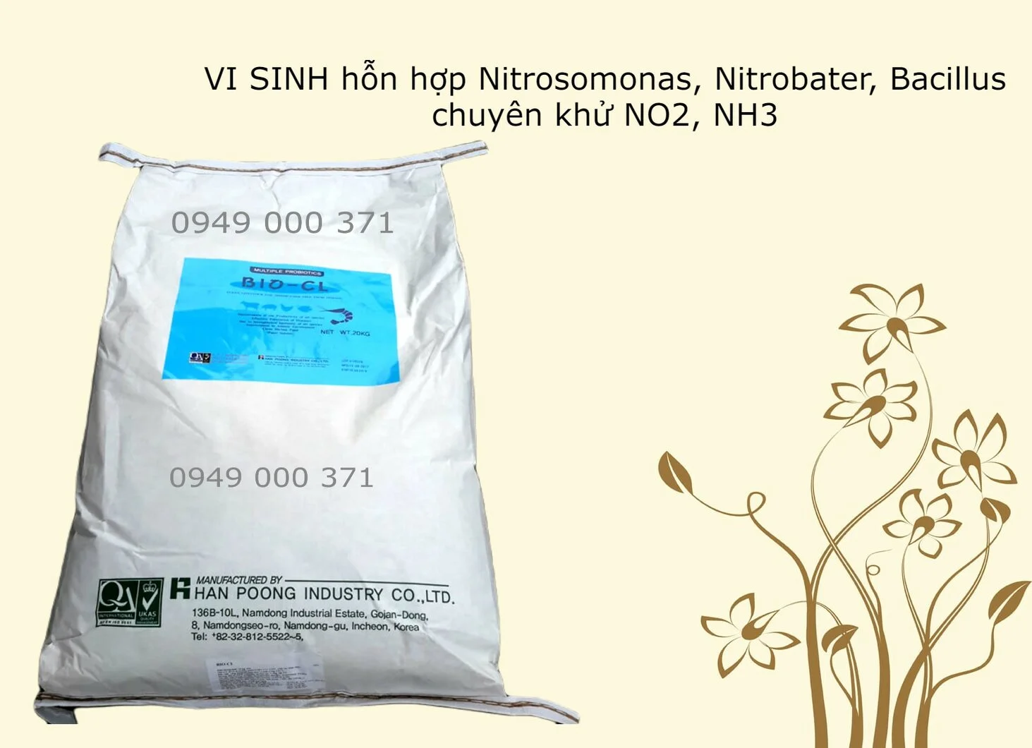 vi-sinh-nitrosomonas.webp