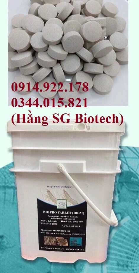 ^^^^^^^^vi sinh viên 10G.webp