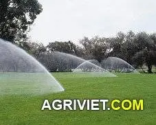 thiết bị công nghệ cao về tưới tự động