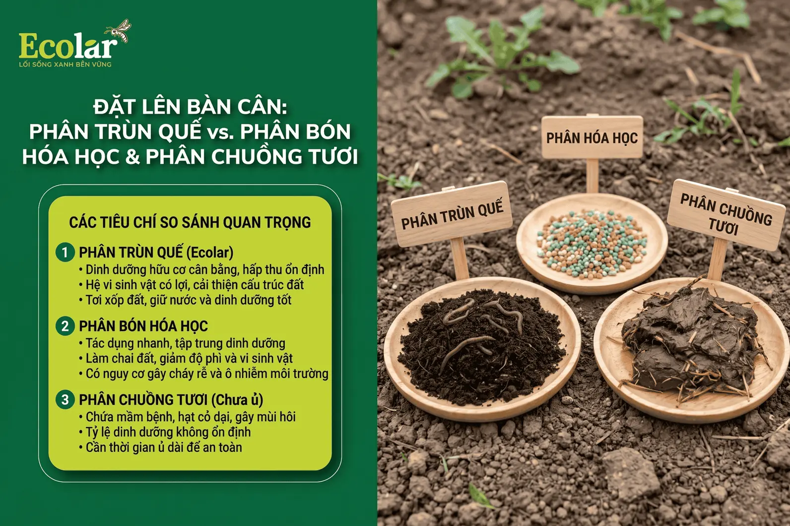 -vs-phan-bon-hoa-hoc-phan-chuong-tuoi_4fca04a705844b53bbd1268cc1ee4ddb (1).webp