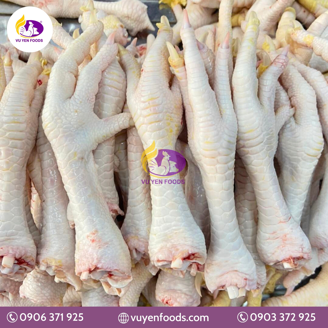 VŨ YẾN - CHÂN GÀ TƯƠI (1).webp