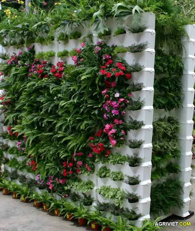 vuon hoa trai tim.jpg