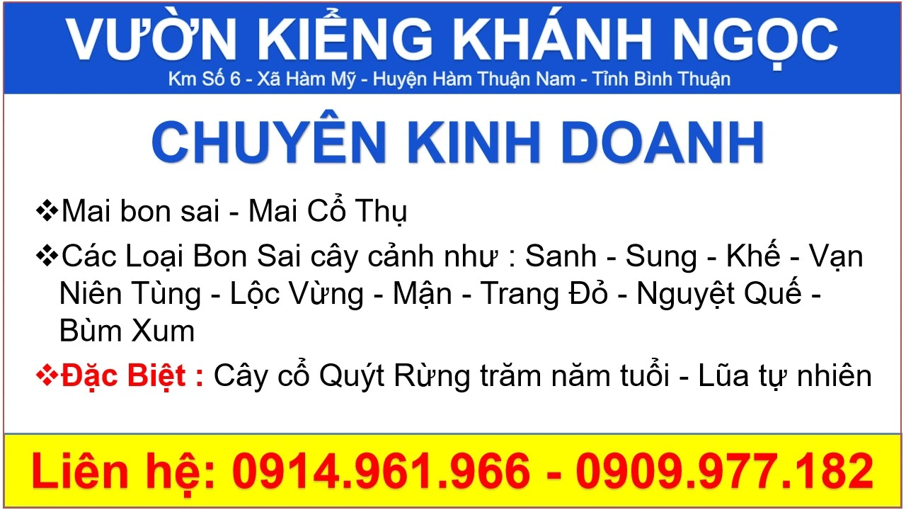 vuon kieng khanh ngoc.webp