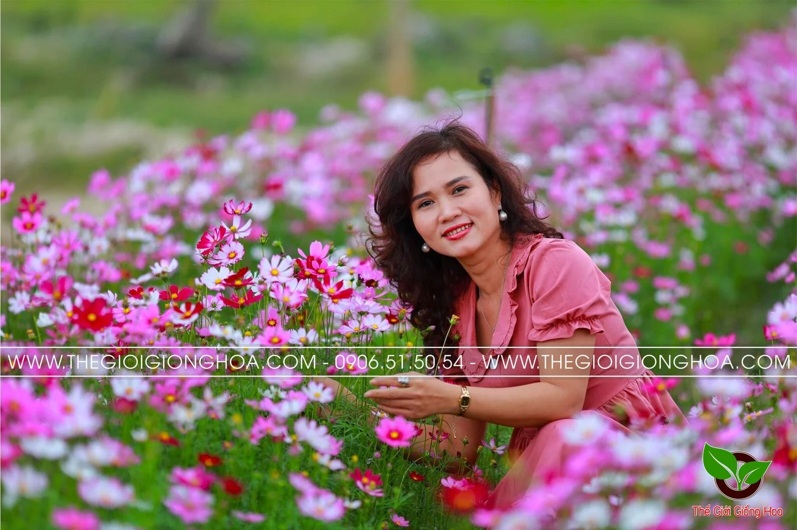 VUON SAO NHAI 10.webp