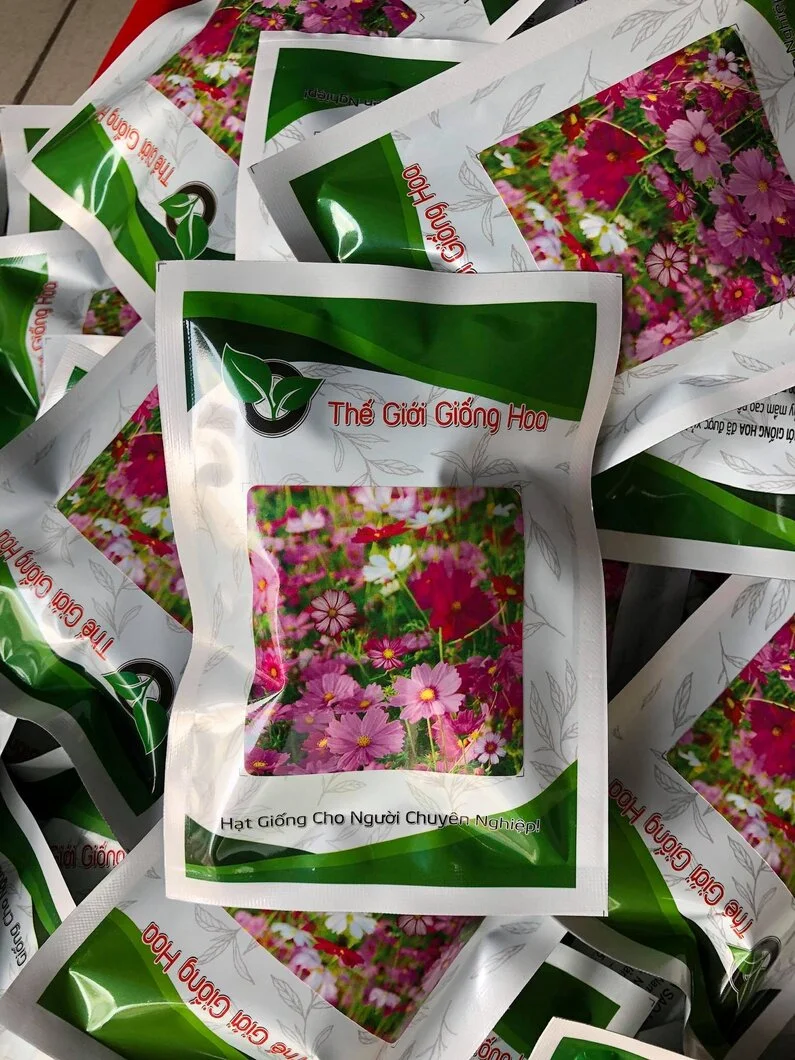 VUON SAO NHAI 19.webp