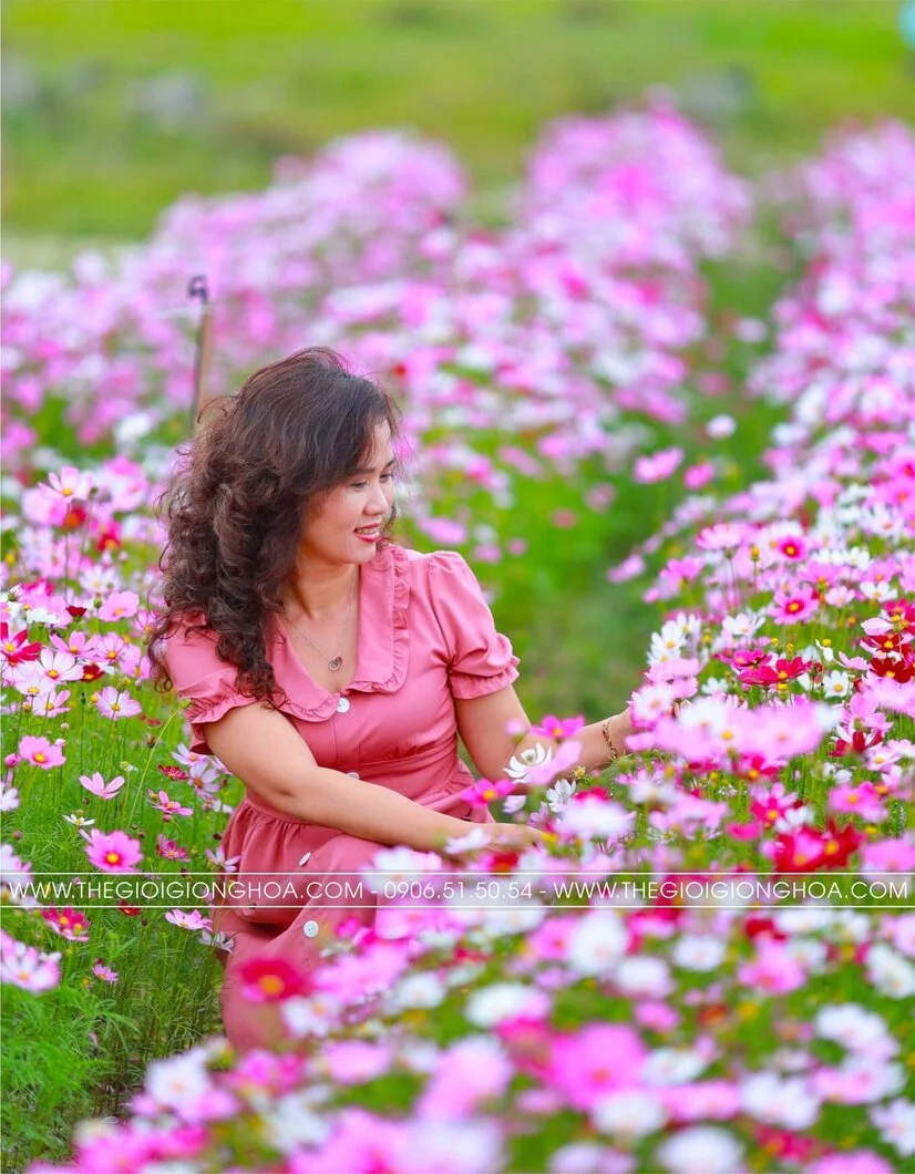 VUON SAO NHAI 9.webp