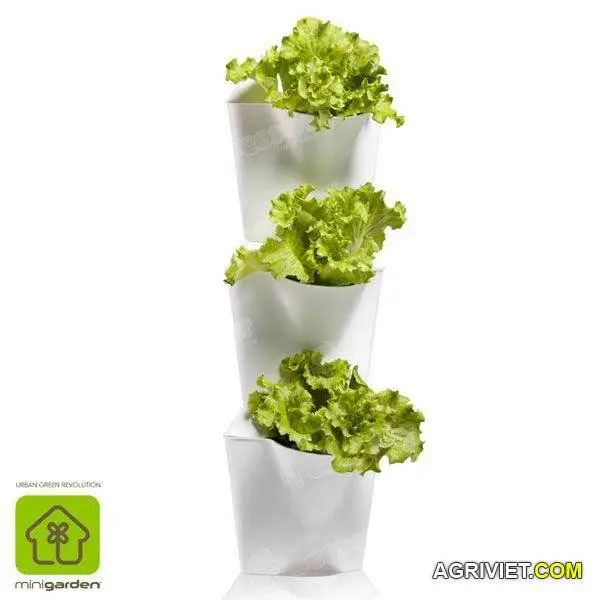 vuon tuong nha pho 48.jpg