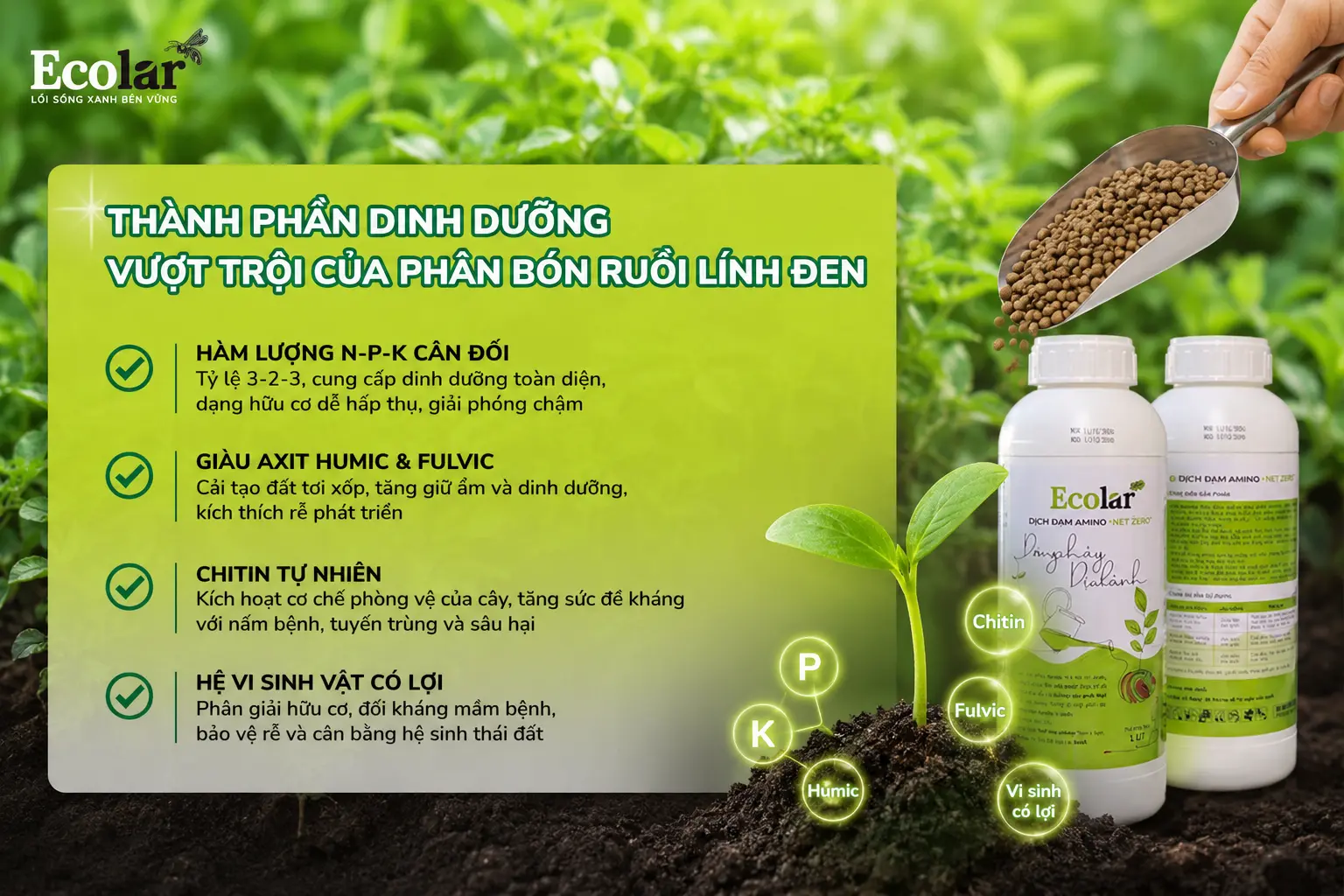 -vuot-troi-cua-phan-bon-ruoi-linh-den_94d4becbfb5742789e83f2606aef776e.webp