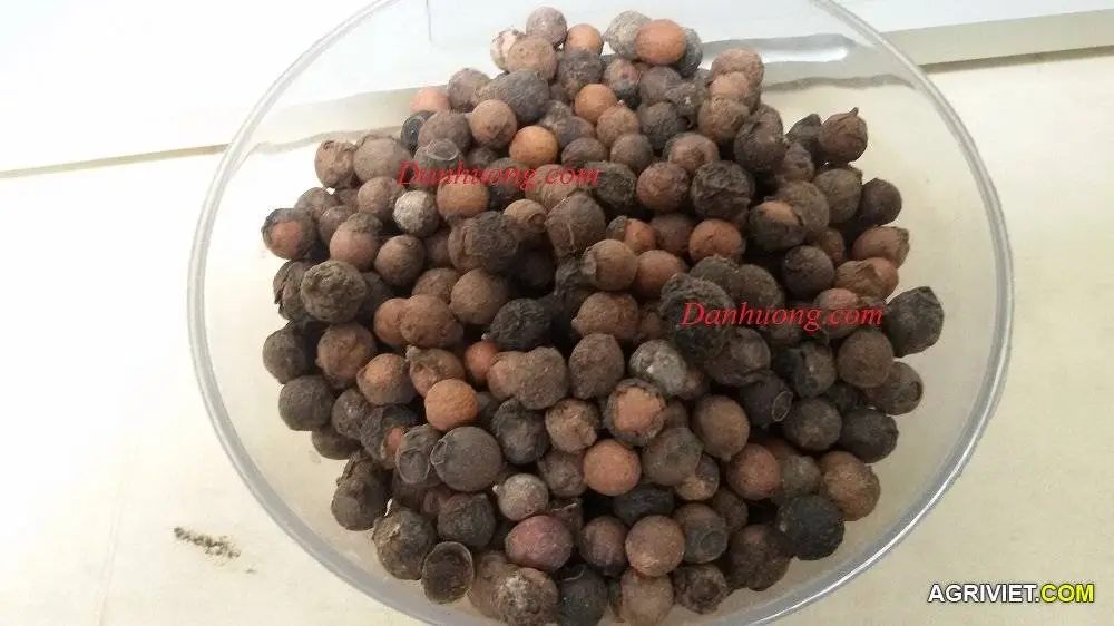 white sandal wood 1.webp