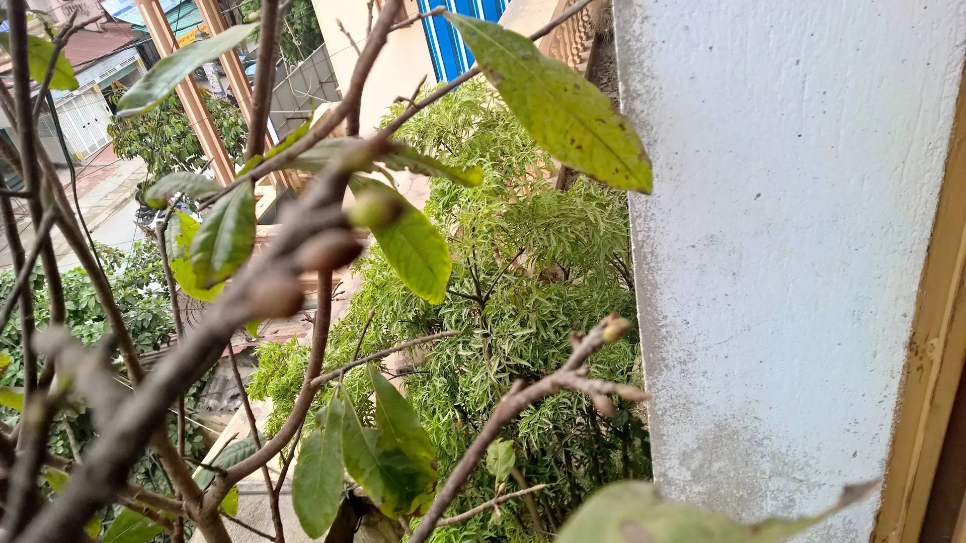 WP_20171108_15_22_05_Raw (2).webp