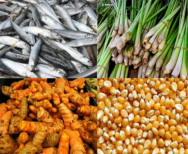 xay da nag inox.webp