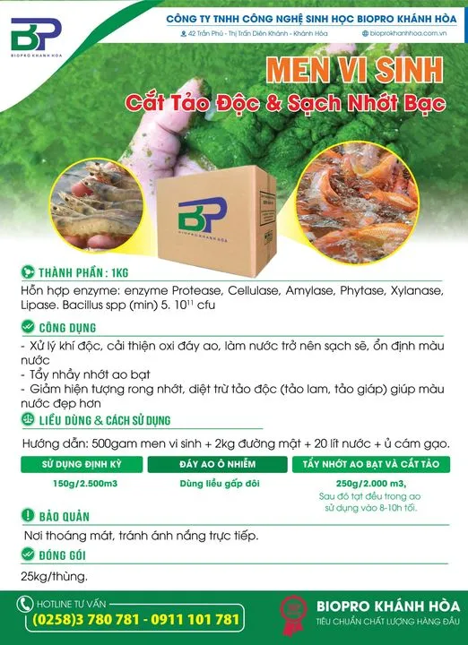 xu ly nhot bat va cat tao.webp