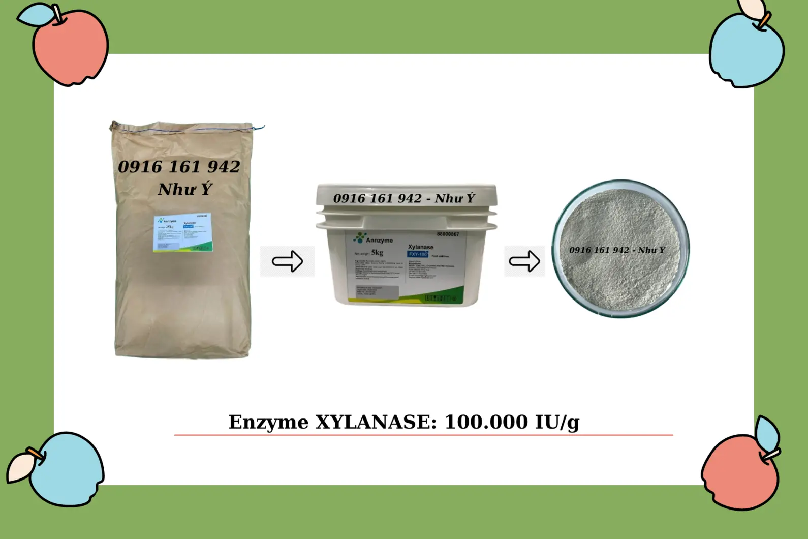 XYLANASE tổng.webp