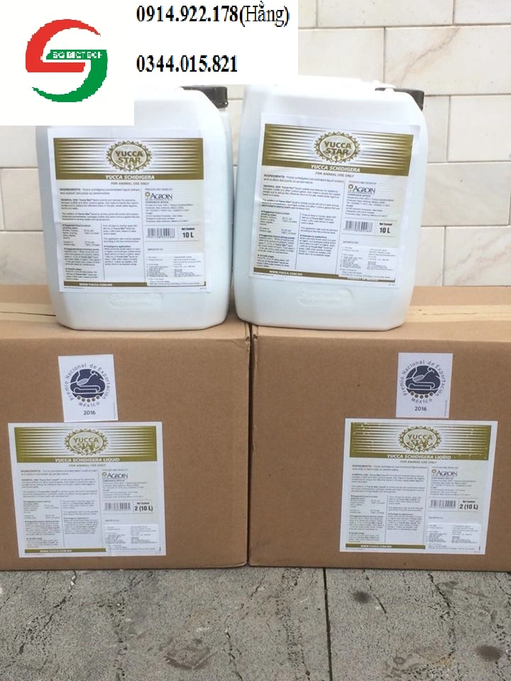 ^^^^^^^^yucca 10l.webp