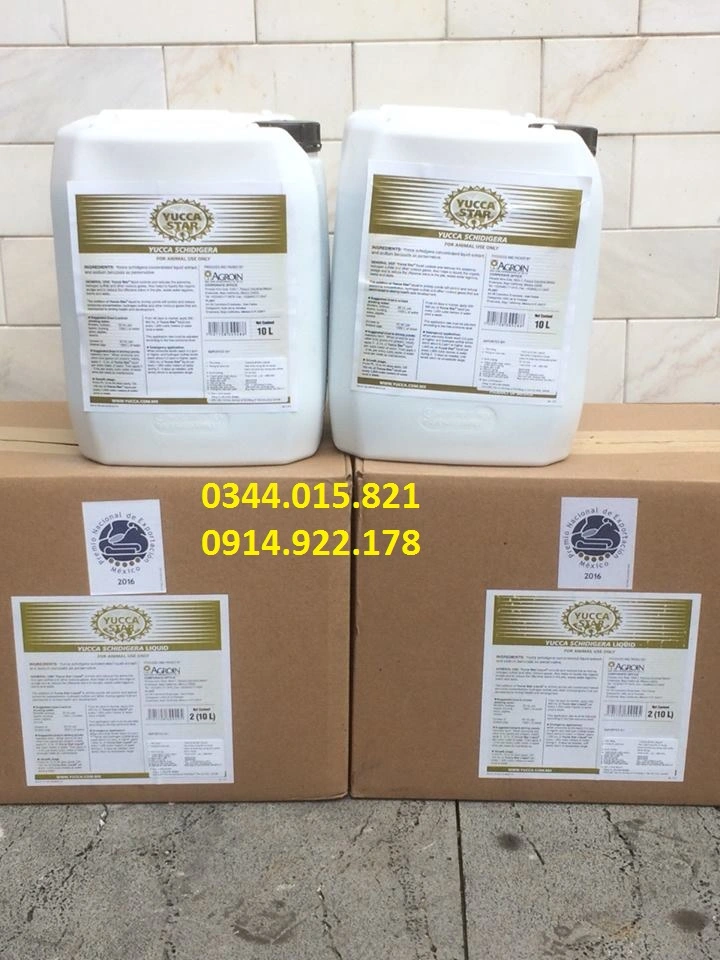 ^^^^^^^^yucca 10l.webp