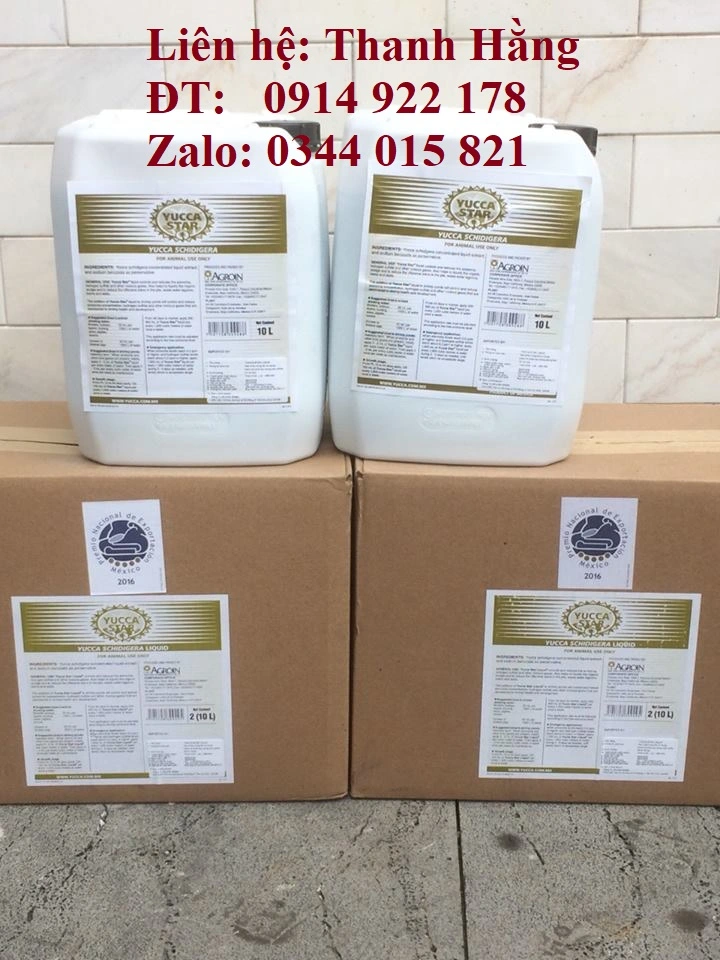 ^^^^^^^^yucca 10l.webp
