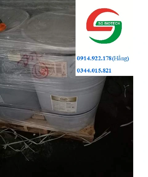 ^^^^^^^^YUCCA 208L.webp