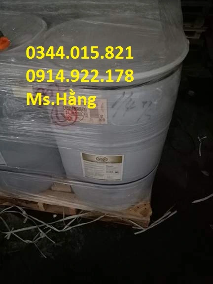 ^^^^^^^^YUCCA 208L.webp