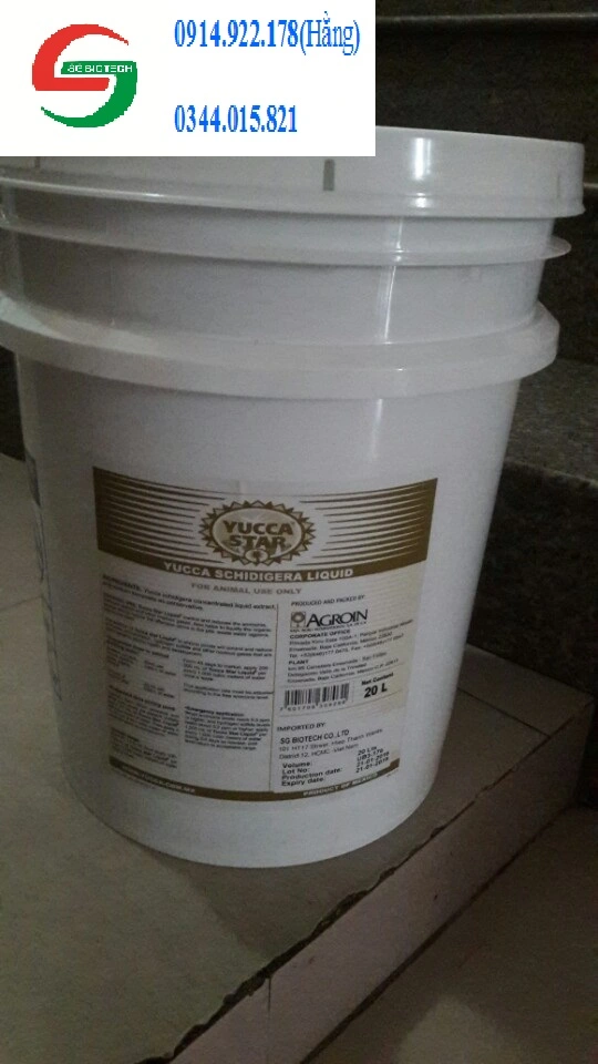 ^^^^^^^^yucca 20L.webp