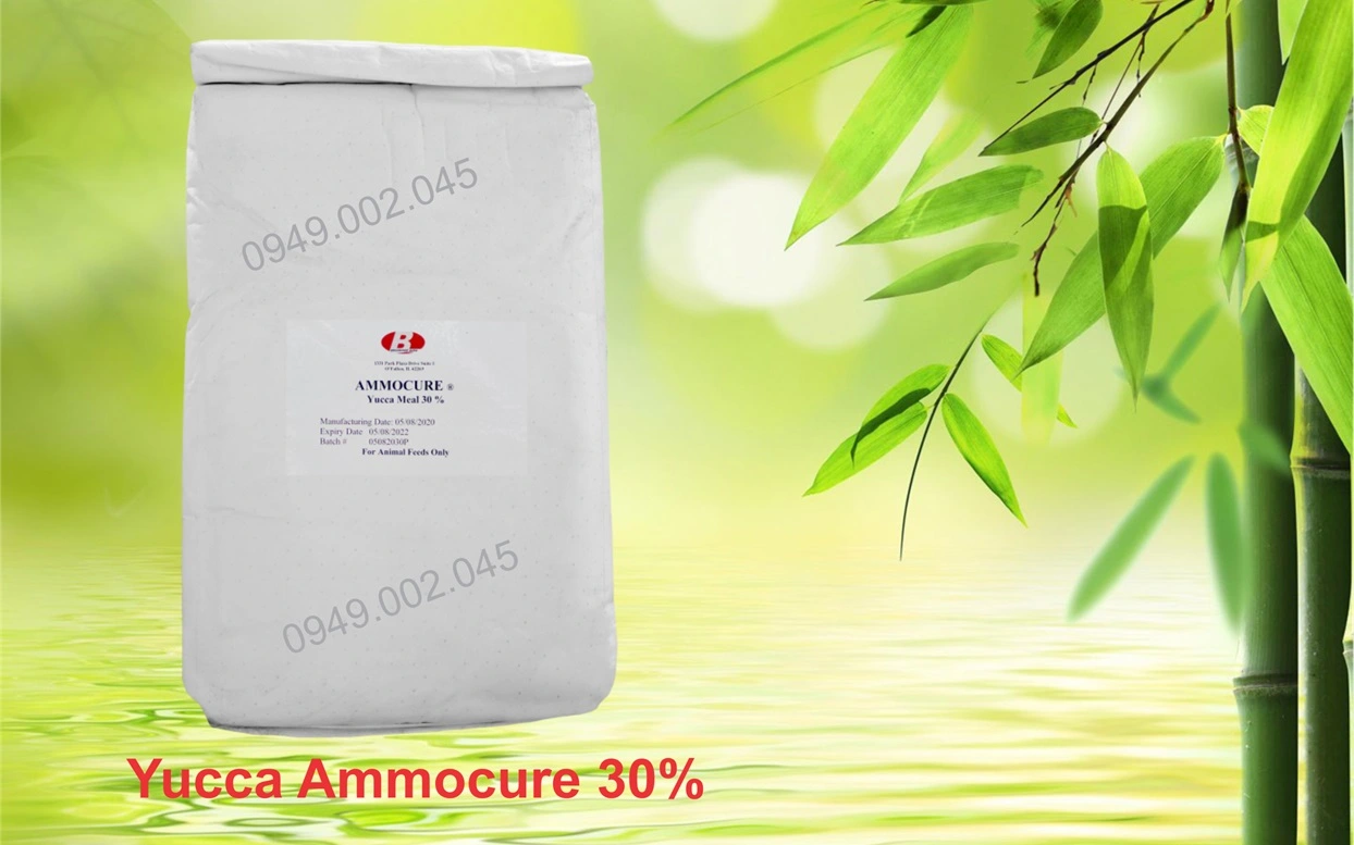 YUCCA AMMOCURE 30.webp