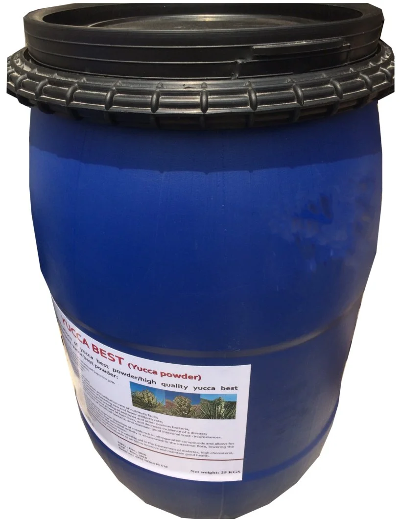 yucca bột mỹ.webp