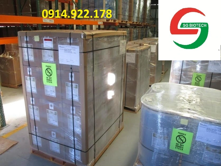 ^^^^^^^^YUCCA BOT.webp