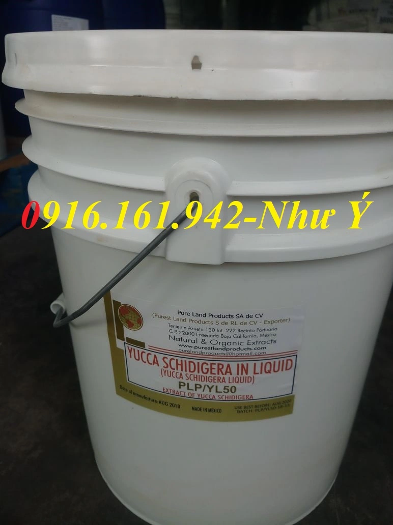 yucca mexico 12-2018.webp