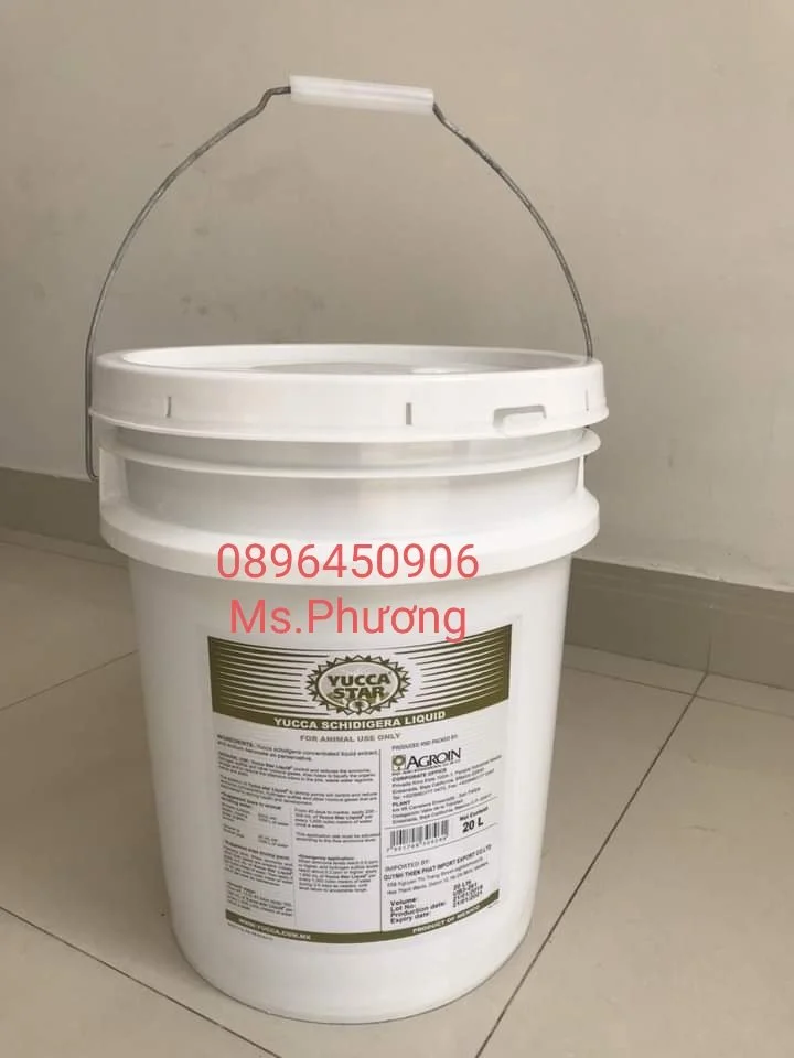 yucca mexico 20 lít.webp