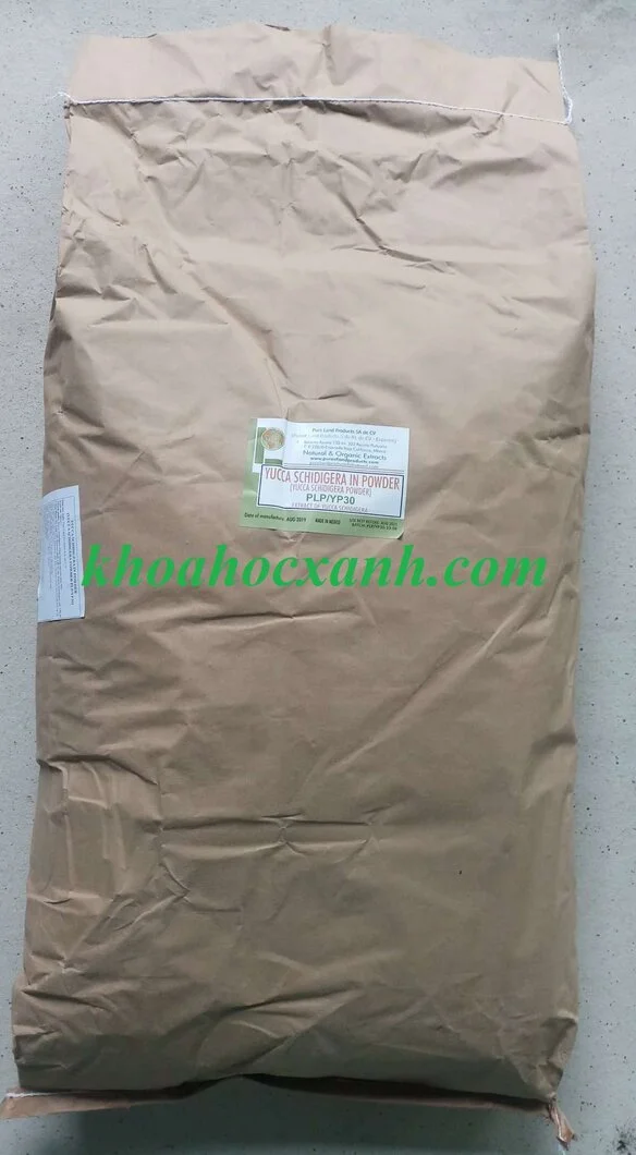Yucca Mexico bột 11-2019.webp