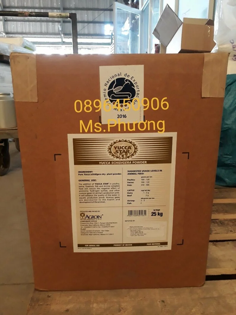 yucca mexico bột.webp