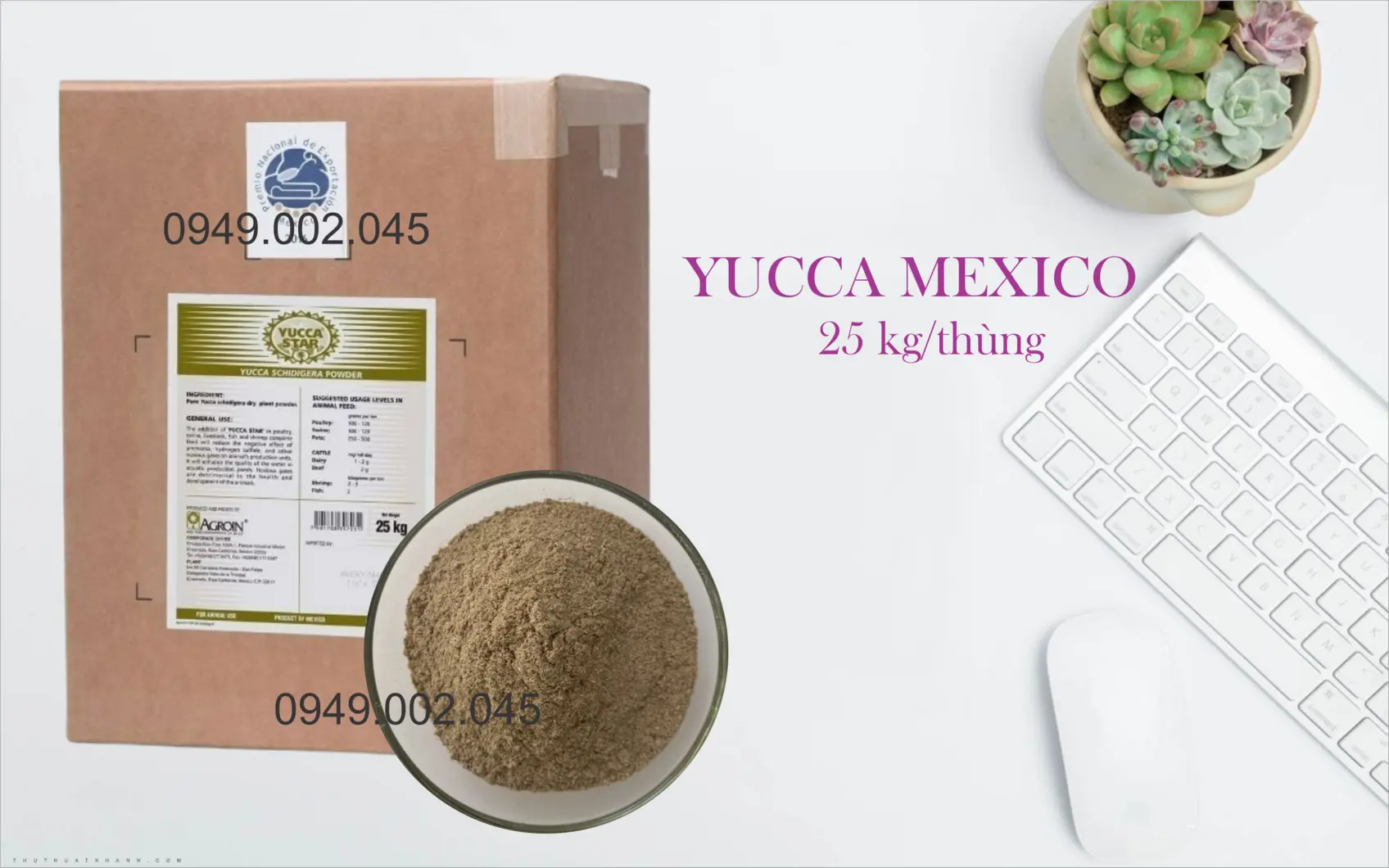YUCCA STAR POWDER 1.webp