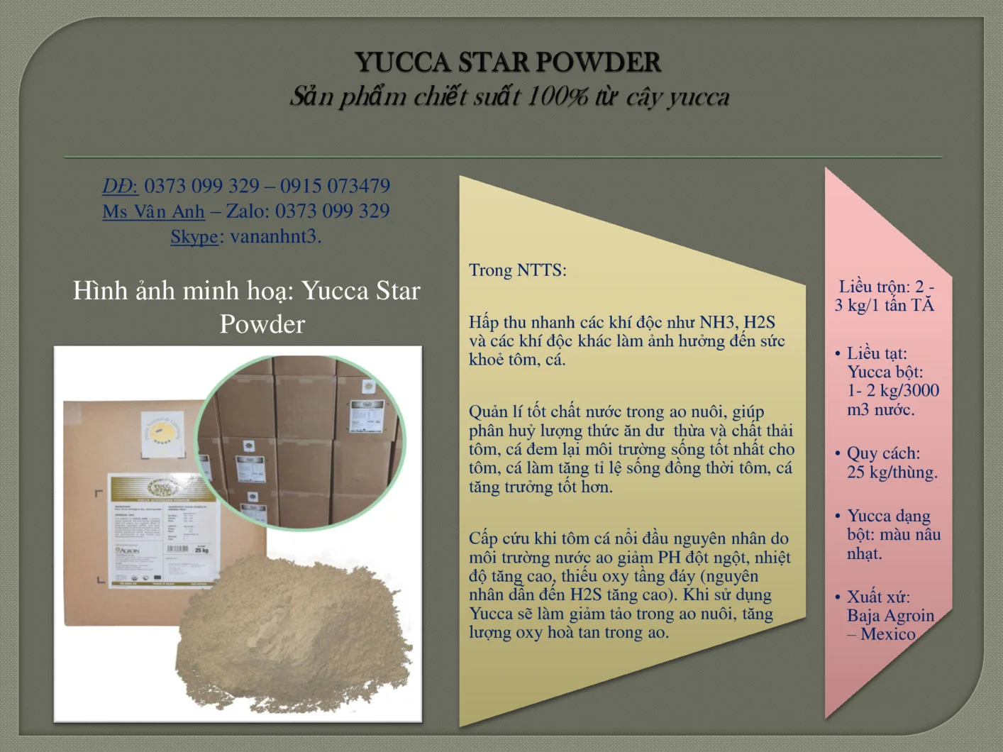YUCCA-STAR-POWDER.webp