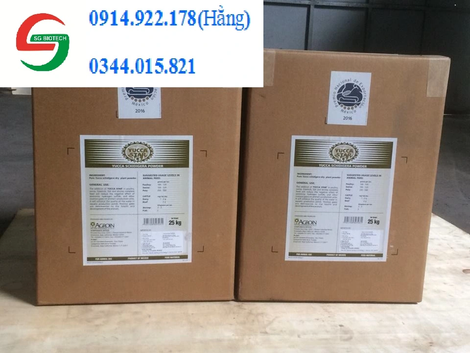 ^^^^^^^^Yucca star powder.webp