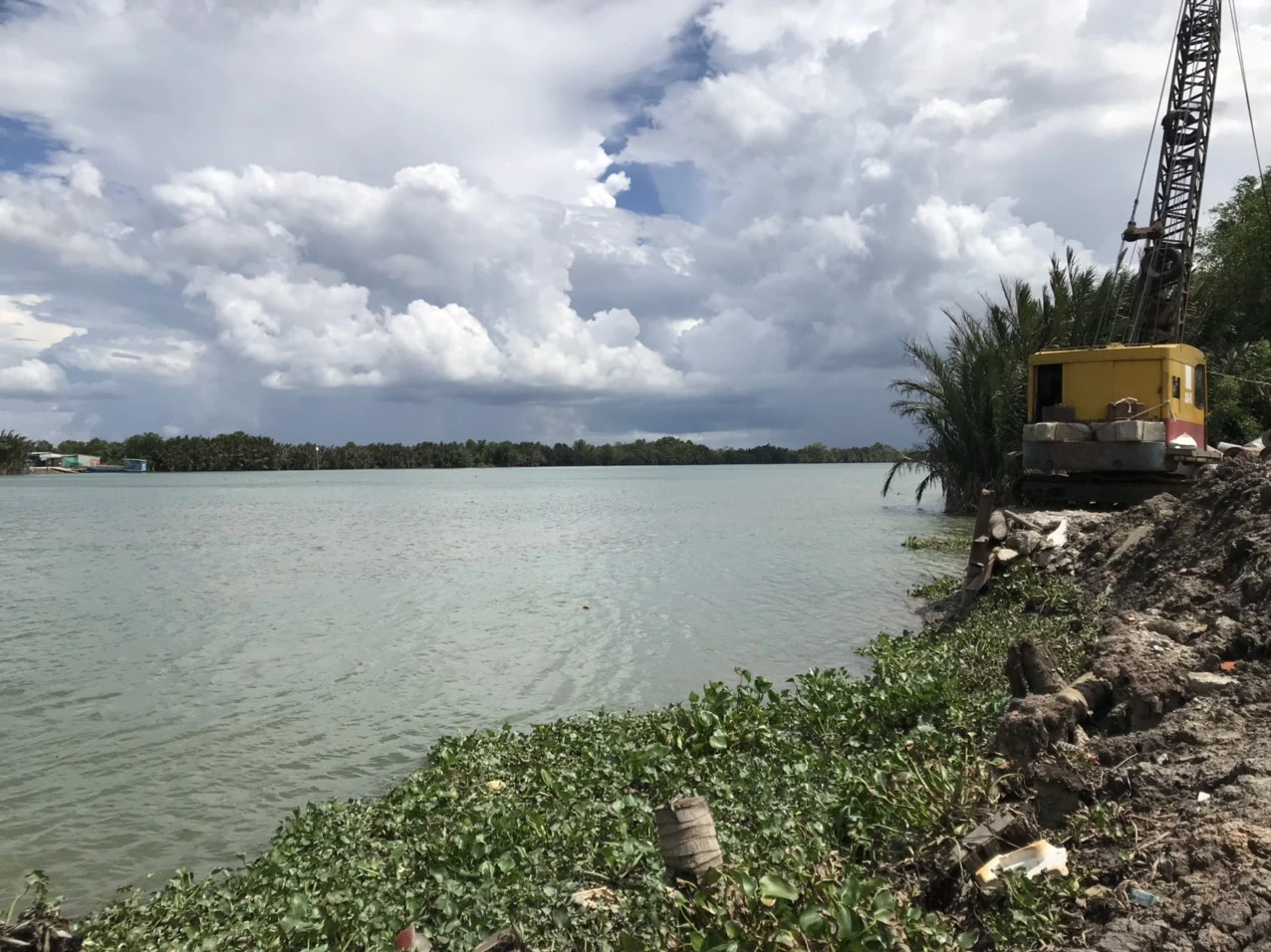 San lấp đất vườn ven sông.... có trồng cây được không ????