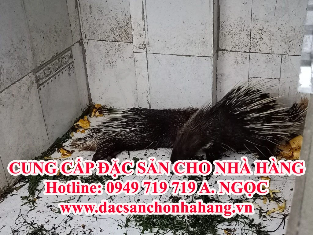 z2067963833590_120b5702f35d926a6cc8a4873e69eb6d-1024x768 copy.jpg