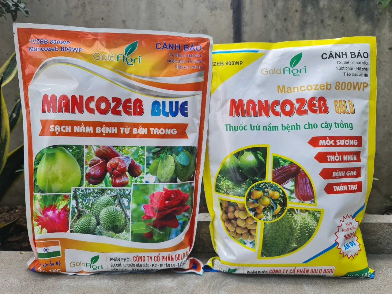MANCOZEB LÀ GÌ? MANCOZEB – HOẠT CHẤT DIỆT NẤM THUỘC NHÓM DITHIOCARBAMATE